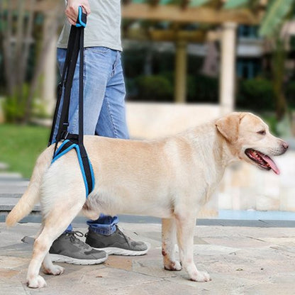 Dog Rear-Leg Lift Support Harness