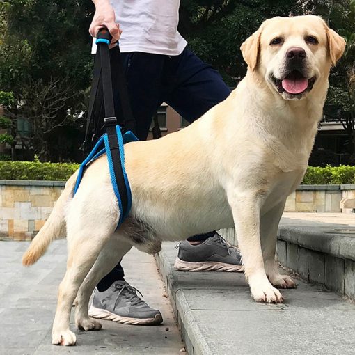 Dog Rear-Leg Lift Support Harness