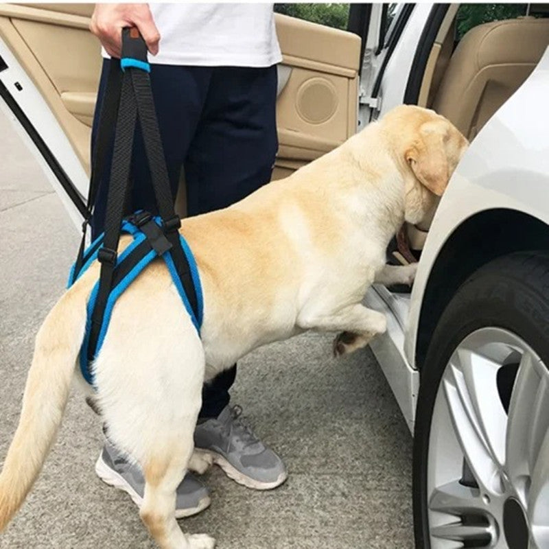 Dog Rear-Leg Lift Support Harness