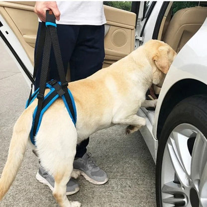 Dog Rear-Leg Lift Support Harness