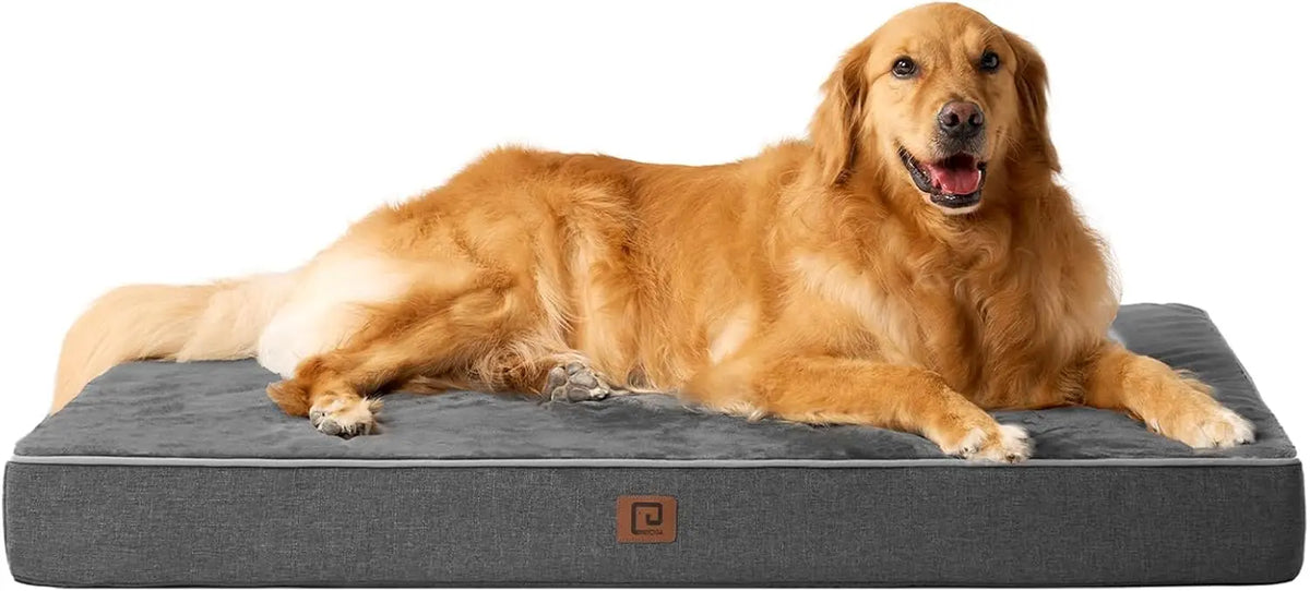 Orthopedic Memory Foam Dog Bed
