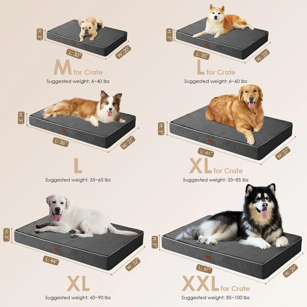 Orthopedic Memory Foam Dog Bed