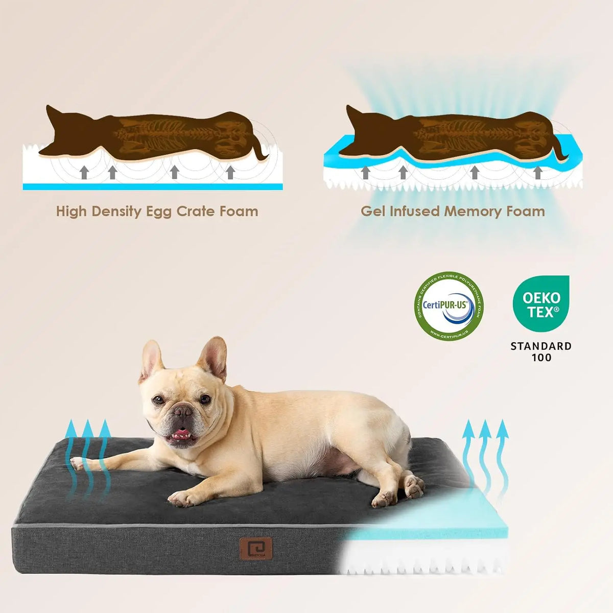 Orthopedic Memory Foam Dog Bed